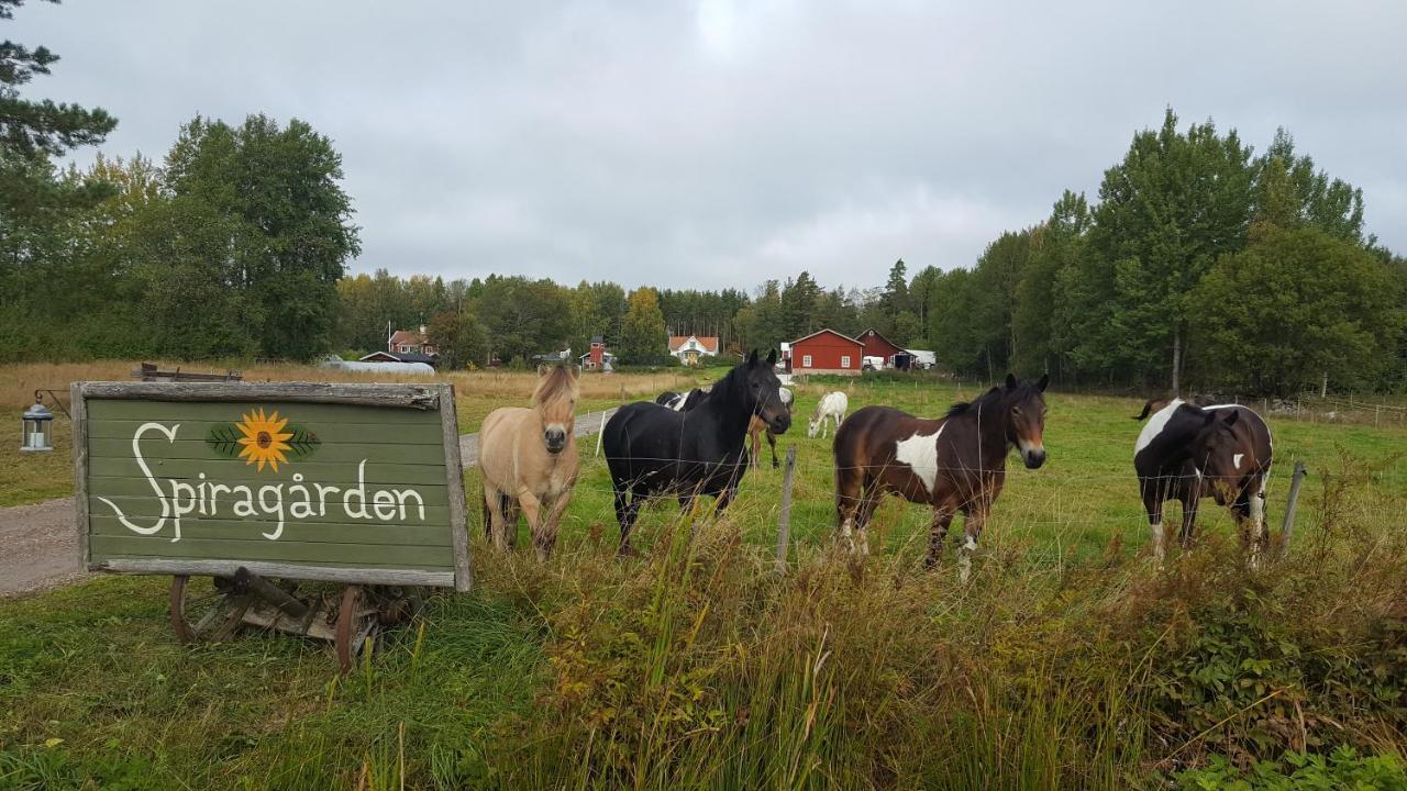 Spiragården Villaer Glanshammar